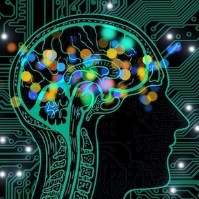 Inside The Mind Of An Engineer